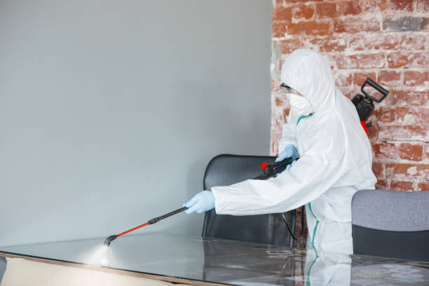 Best Emergency Mold Remediation  in Sonterra, TX