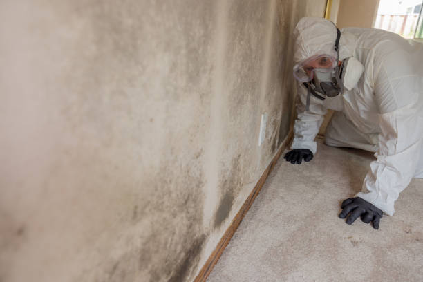 Mold Remediation for Rental Properties in Sonterra, TX